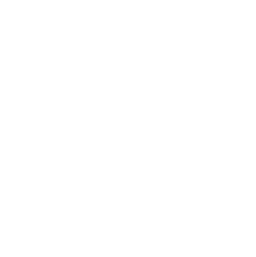 WhatsApp Icon in Weiß